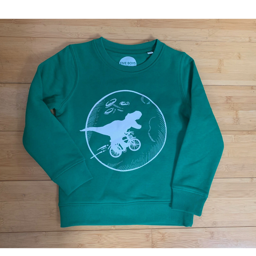 T rex sweatshirt for 3 and 4 year olds